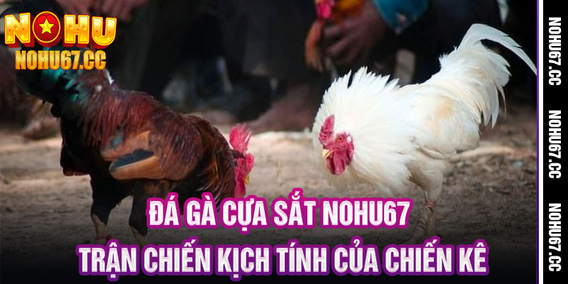 Đá Gà Cựa Sắt